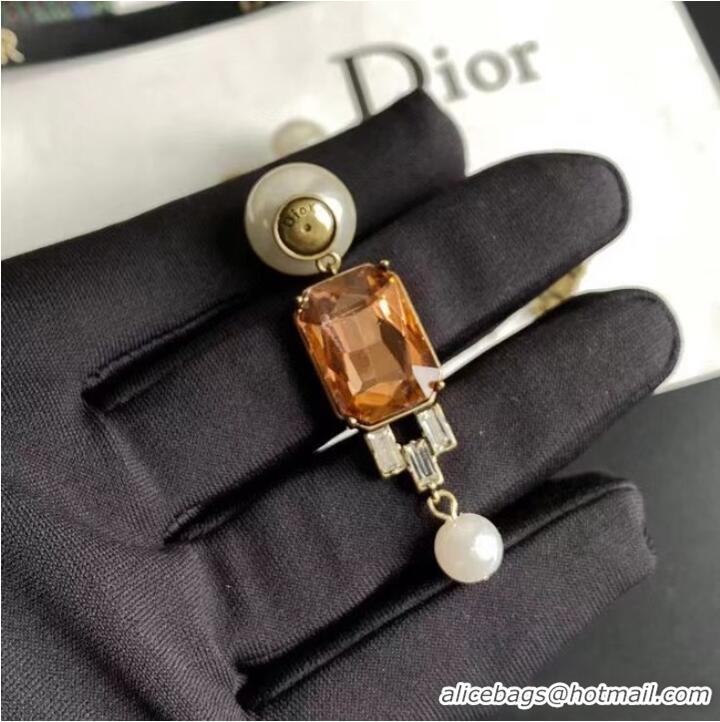 Modern Classic Dior Earrings CE7029