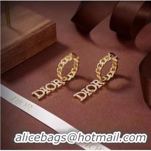 Modern Classic Dior Earrings CE7102