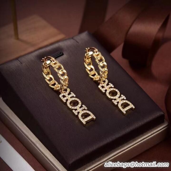 Modern Classic Dior Earrings CE7102