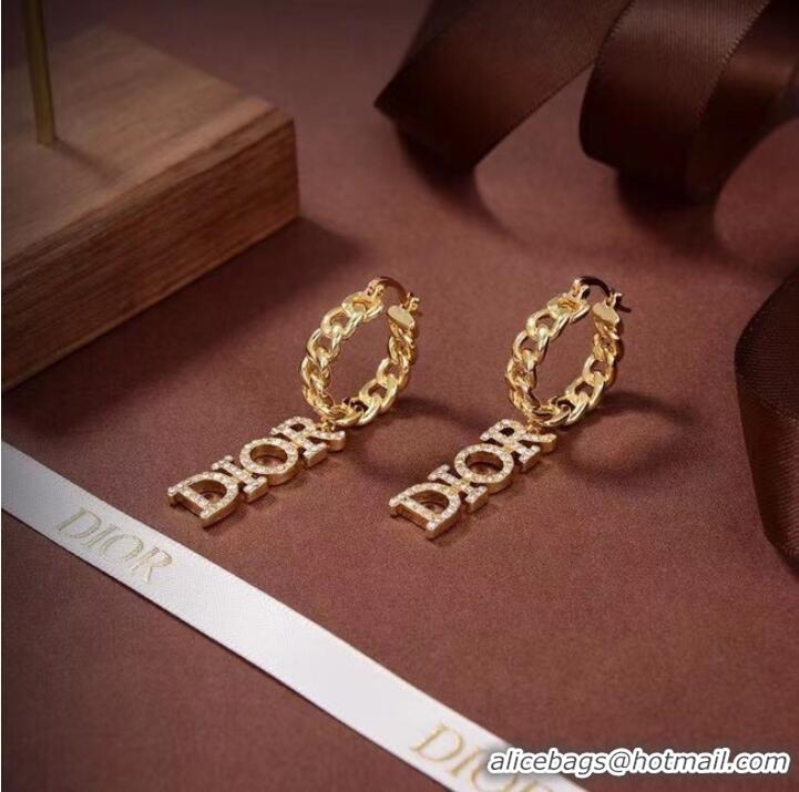 Modern Classic Dior Earrings CE7102