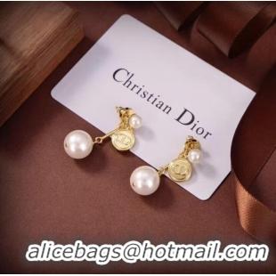 Top Quality Dior Earrings CE7104