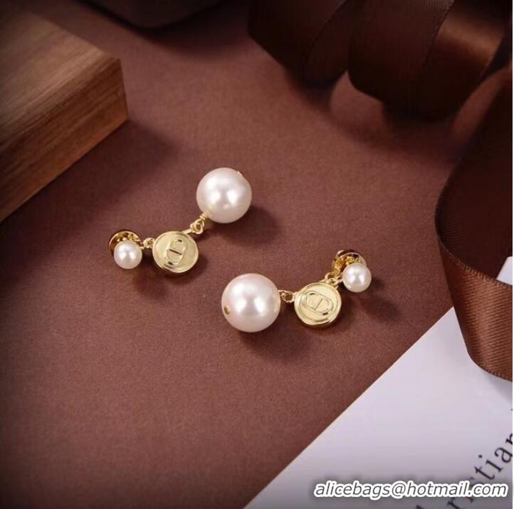 Top Quality Dior Earrings CE7104