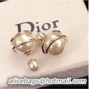 Spot Top Quality Dior Earrings CE7110