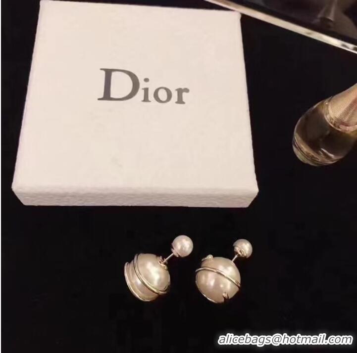 Spot Top Quality Dior Earrings CE7110