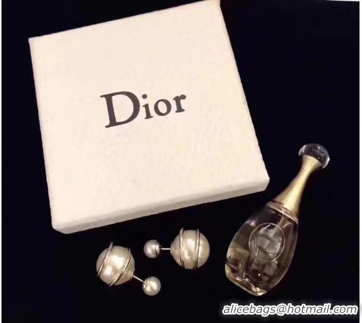 Spot Top Quality Dior Earrings CE7110