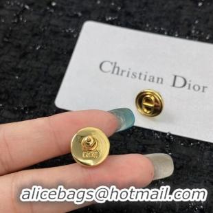 Most Popular Dior Earrings CE7149