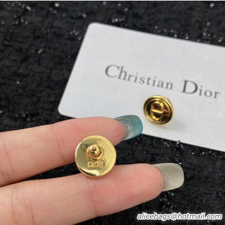 Most Popular Dior Earrings CE7149