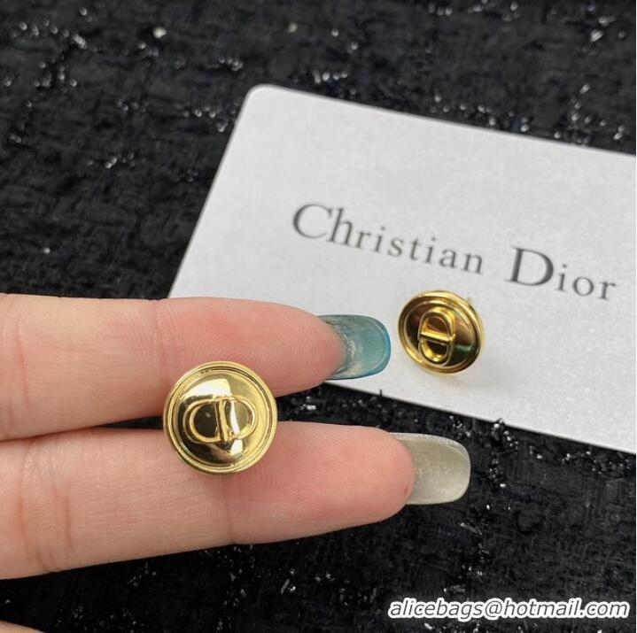 Most Popular Dior Earrings CE7149