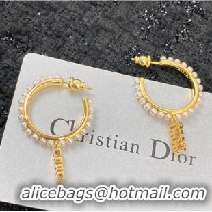 Buy Inexpensive Dior Earrings CE7151