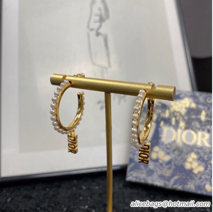 Buy Inexpensive Dior Earrings CE7151