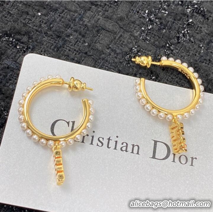 Buy Inexpensive Dior Earrings CE7151