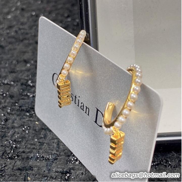 Buy Inexpensive Dior Earrings CE7151