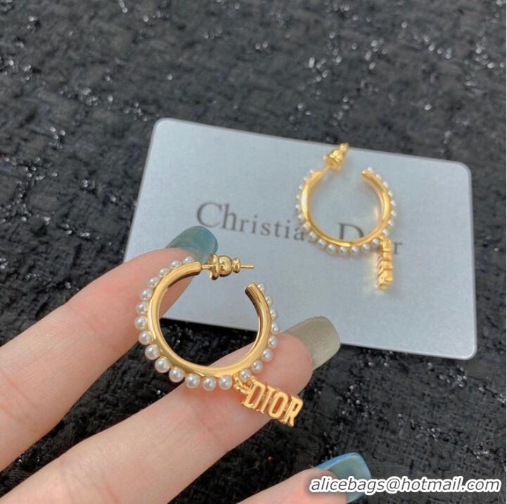 Buy Inexpensive Dior Earrings CE7151