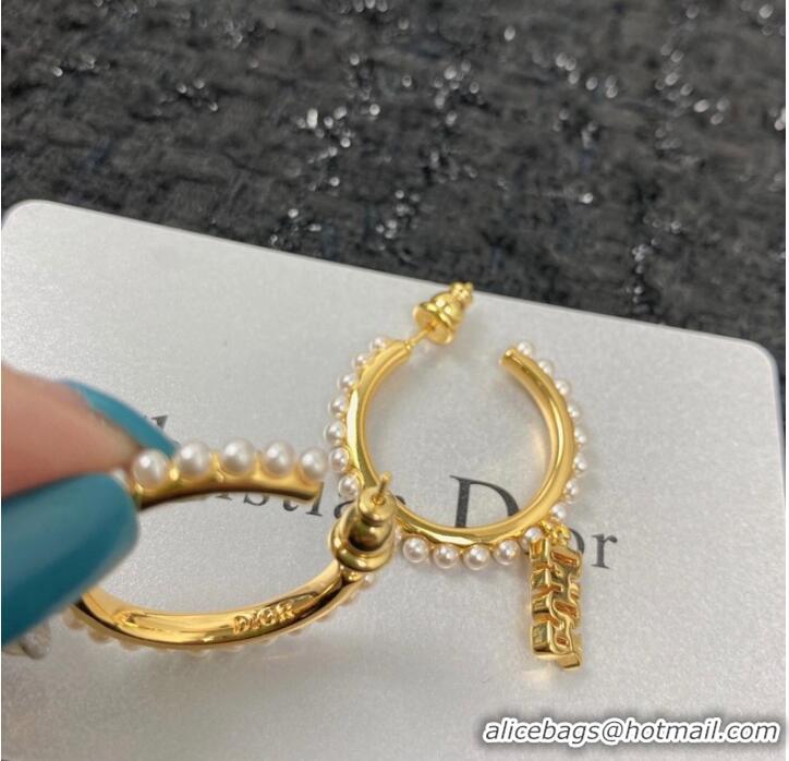 Buy Inexpensive Dior Earrings CE7151