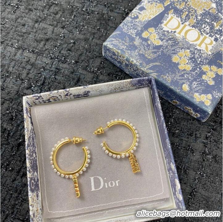 Buy Inexpensive Dior Earrings CE7151