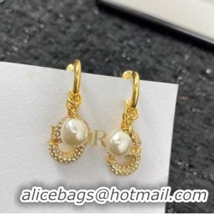 Modern Classic Inexpensive Dior Earrings CE7155