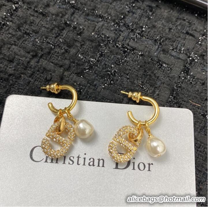 Modern Classic Inexpensive Dior Earrings CE7155