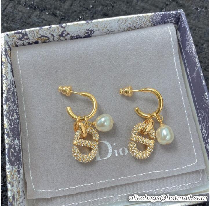 Modern Classic Inexpensive Dior Earrings CE7155