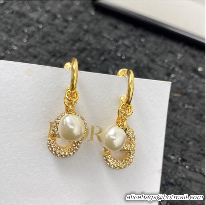 Modern Classic Inexpensive Dior Earrings CE7155