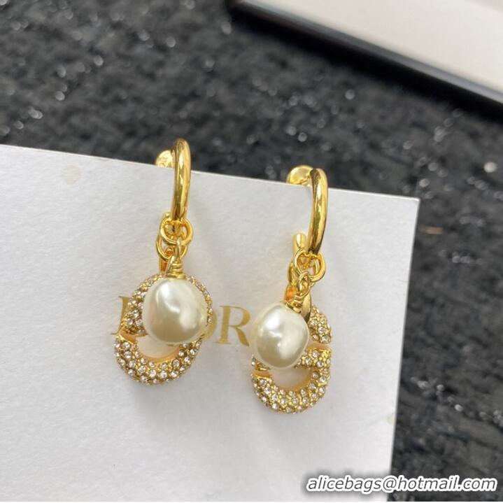 Modern Classic Inexpensive Dior Earrings CE7155