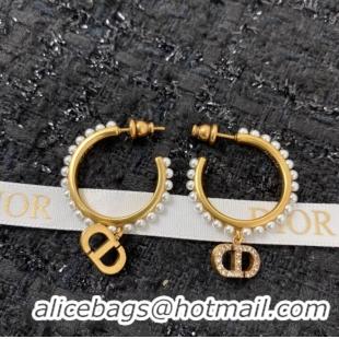 Unique Grade Dior Earrings CE7159