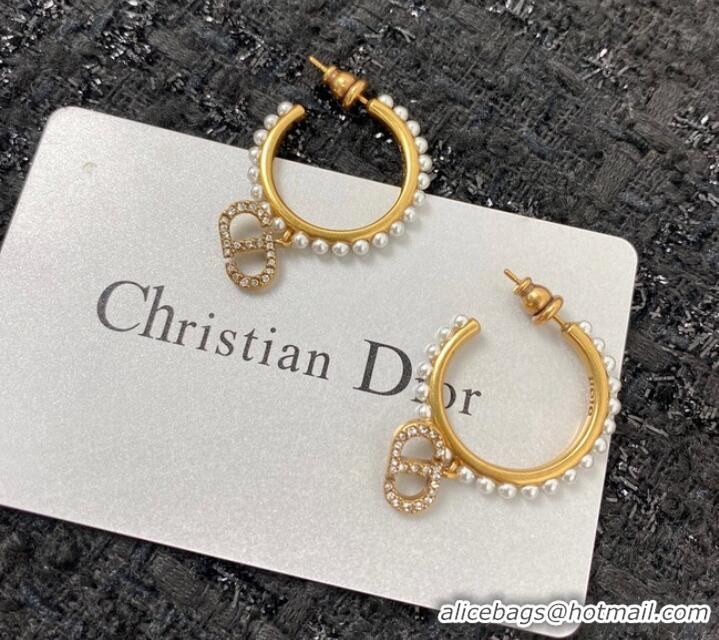 Unique Grade Dior Earrings CE7159