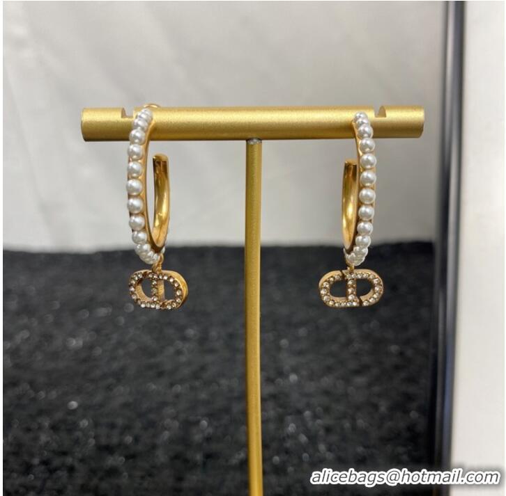 Unique Grade Dior Earrings CE7159