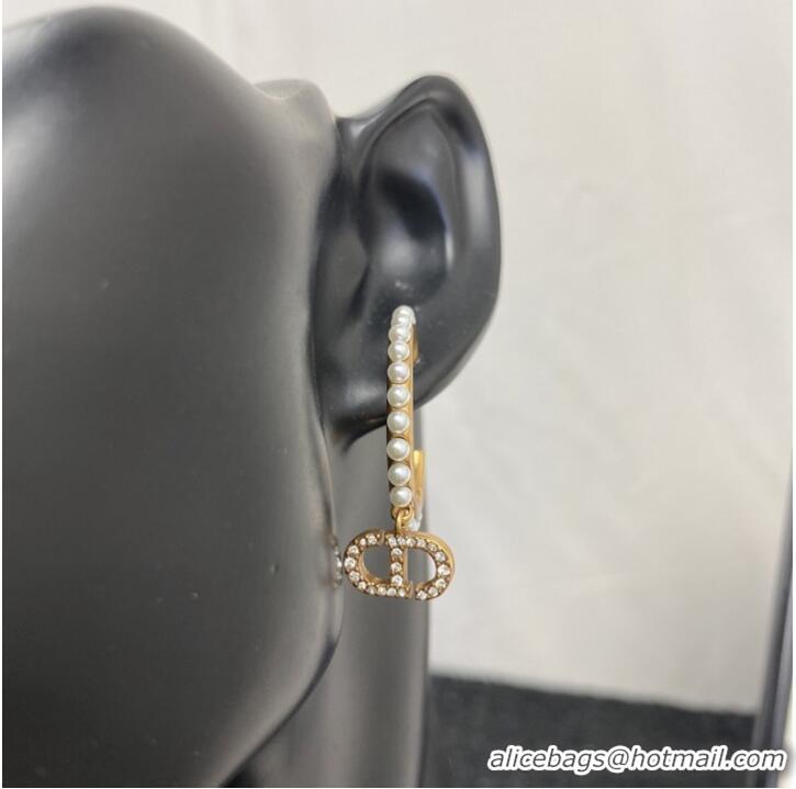 Unique Grade Dior Earrings CE7159