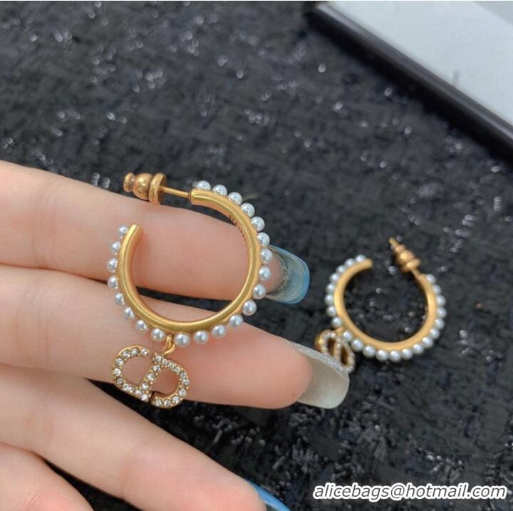 Unique Grade Dior Earrings CE7159