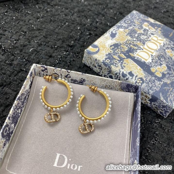 Unique Grade Dior Earrings CE7159