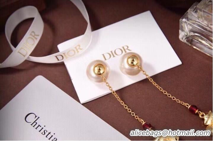 Popular Style Grade Dior Earrings CE7201