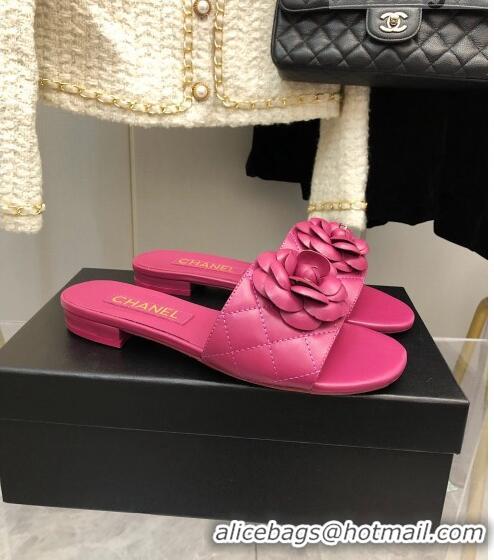 ​Discount Chanel Quilted Lambskin Slide Sandals 2.5cm with Bloom Charm C21508 Pink 2022