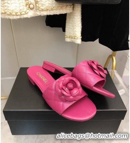 ​Discount Chanel Quilted Lambskin Slide Sandals 2.5cm with Bloom Charm C21508 Pink 2022