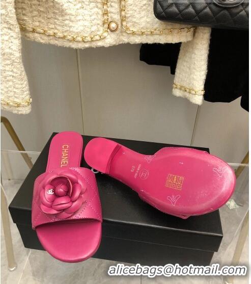 ​Discount Chanel Quilted Lambskin Slide Sandals 2.5cm with Bloom Charm C21508 Pink 2022