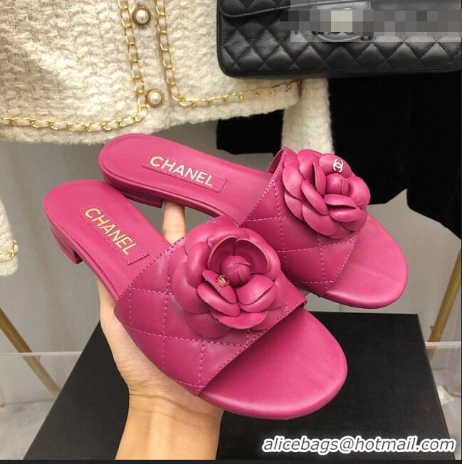 ​Discount Chanel Quilted Lambskin Slide Sandals 2.5cm with Bloom Charm C21508 Pink 2022