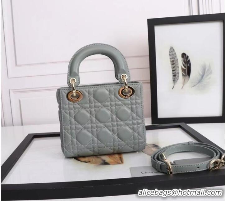 Well Crafted MINI LADY DIOR BAG Lambskin M0566OE gray&gold