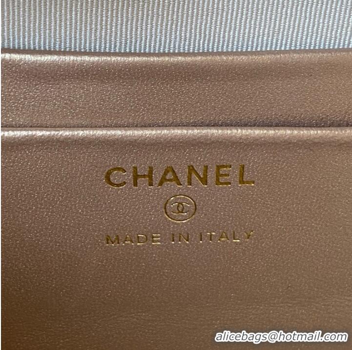 Top Grade Chanel Lambskin camera bag AS2463 light gray