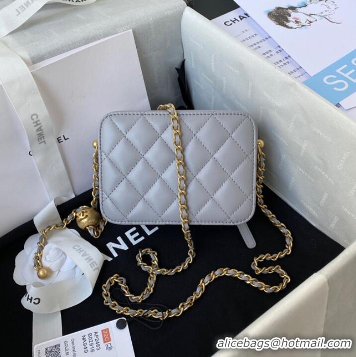 Top Grade Chanel Lambskin camera bag AS2463 light gray