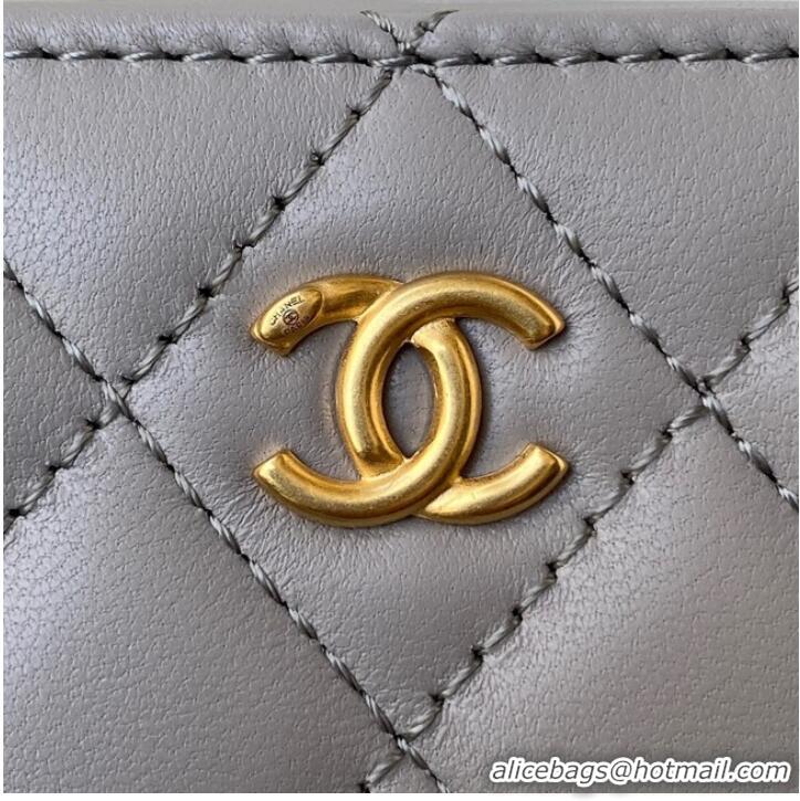 Top Grade Chanel Lambskin camera bag AS2463 light gray