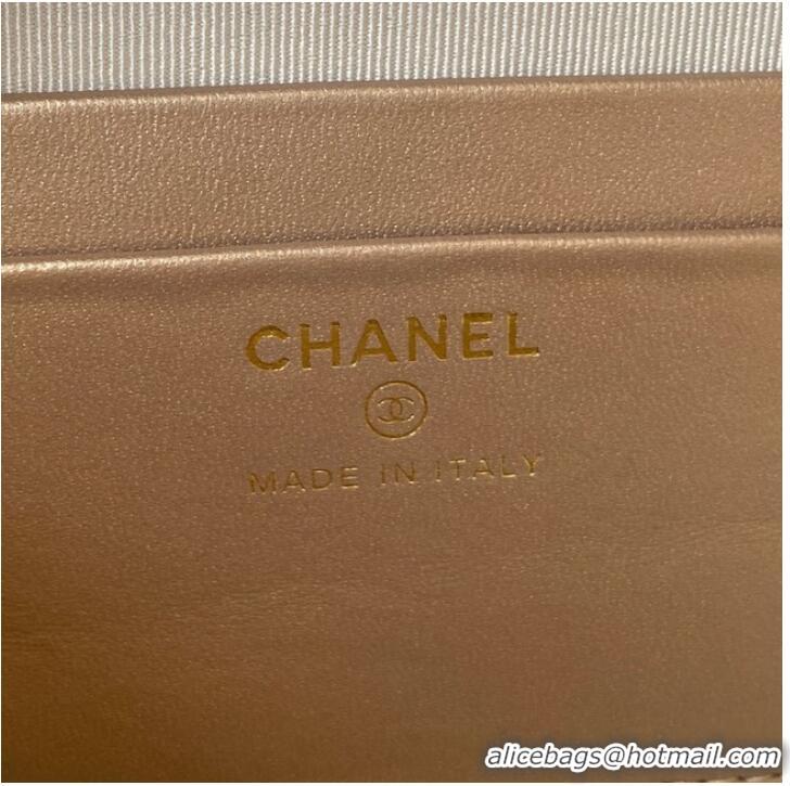 Low Cost Chanel Lambskin camera bag AS2463 green