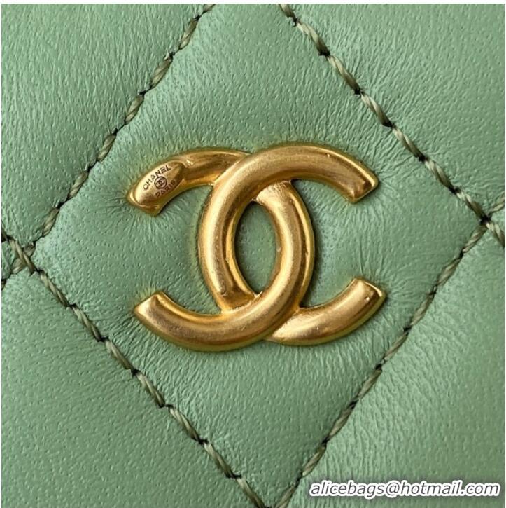 Low Cost Chanel Lambskin camera bag AS2463 green