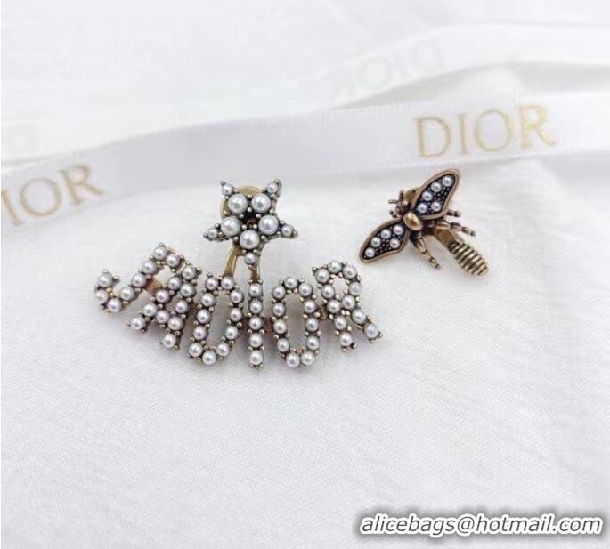 Buy Fashionable Dior Earrings CE7218