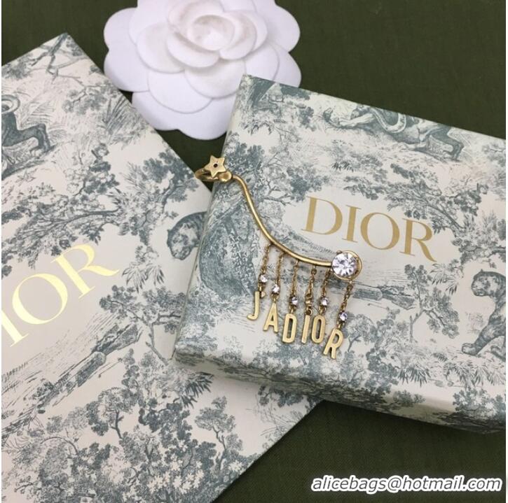 Traditional Discount Dior Earrings CE7274