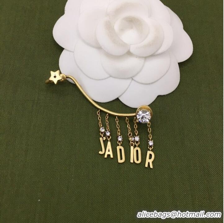 Traditional Discount Dior Earrings CE7274