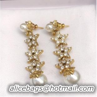 Most Popular Dior Earrings CE7285