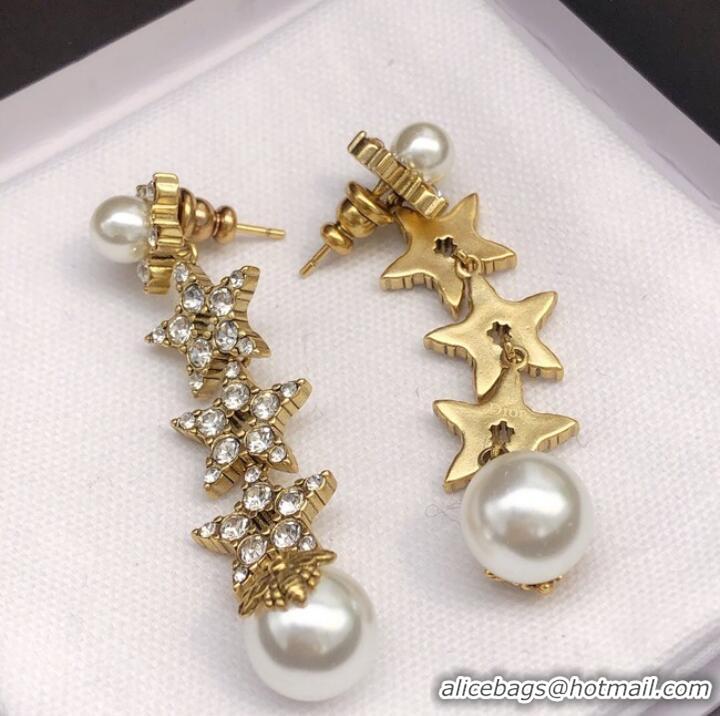 Most Popular Dior Earrings CE7285