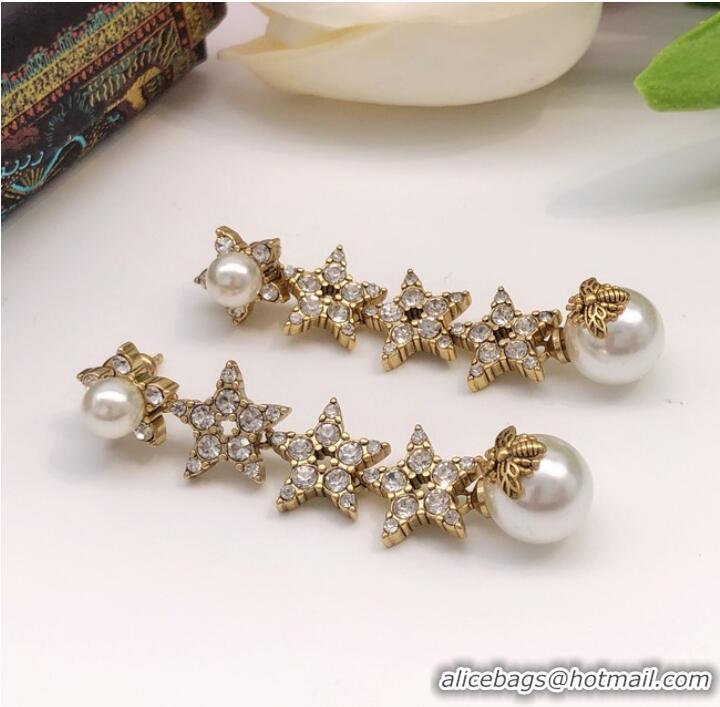 Most Popular Dior Earrings CE7285