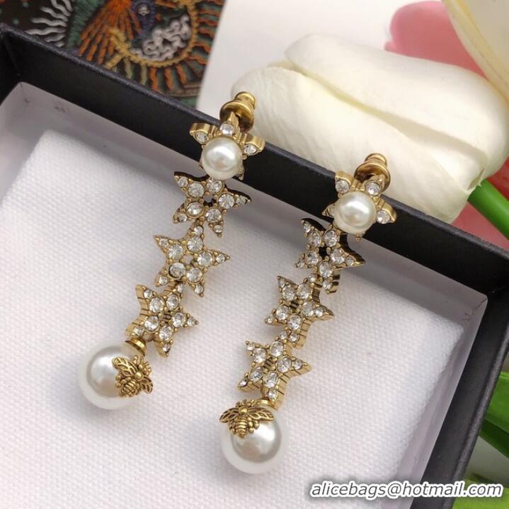 Most Popular Dior Earrings CE7285