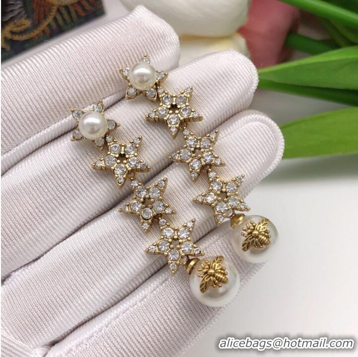 Most Popular Dior Earrings CE7285