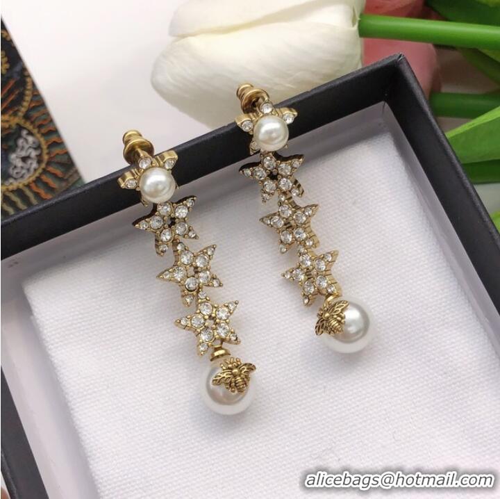 Most Popular Dior Earrings CE7285